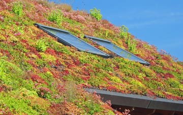 Kirkby Thore living roof systems