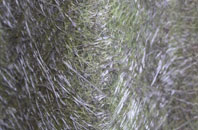 Kirkby Thore fibreglass roof work